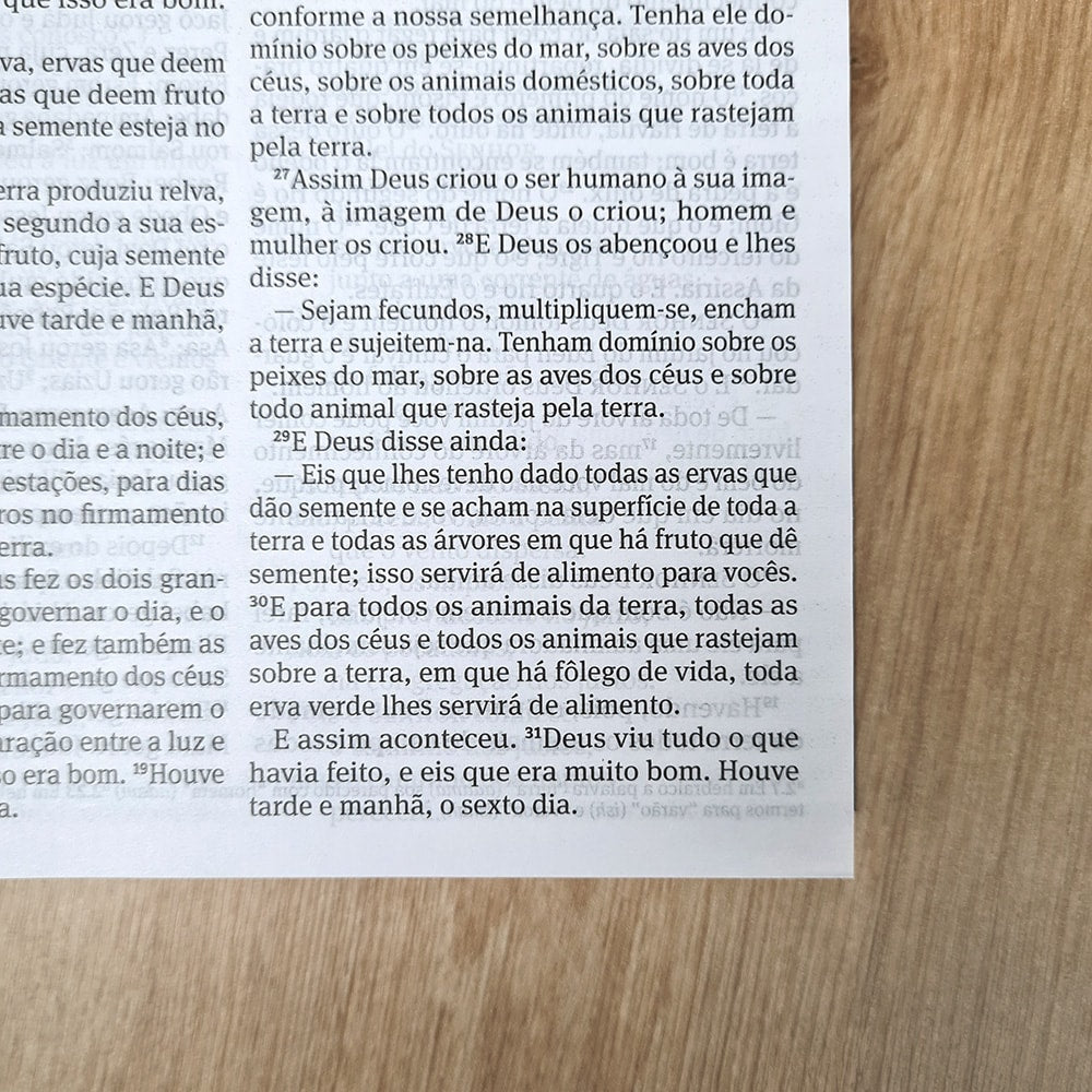 Bíblia 365 Azul | NAA | Letra Grande | Capa Brochura