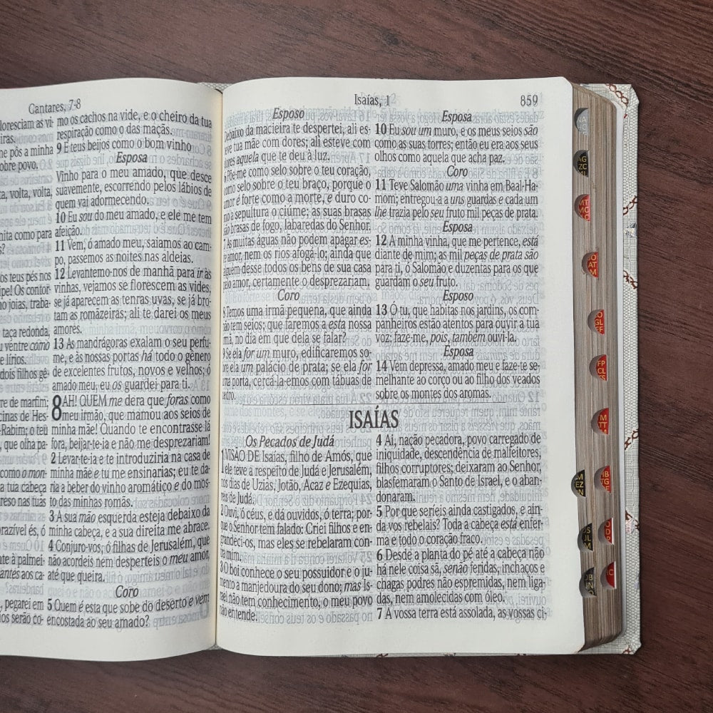Bíblia Sagrada | ARC | Letra Jumbo | Capa Luxo Bicolor Rosa | Harpa Avivada e Corinhos