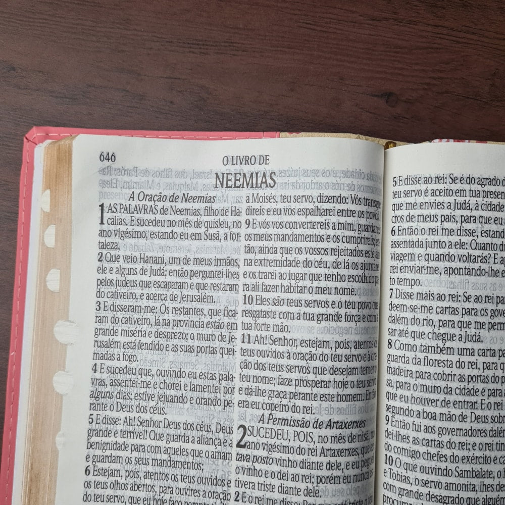 Bíblia Sagrada | ARC | Letra Jumbo | Capa Luxo Bicolor Salmão | Harpa Avivada e Corinhos