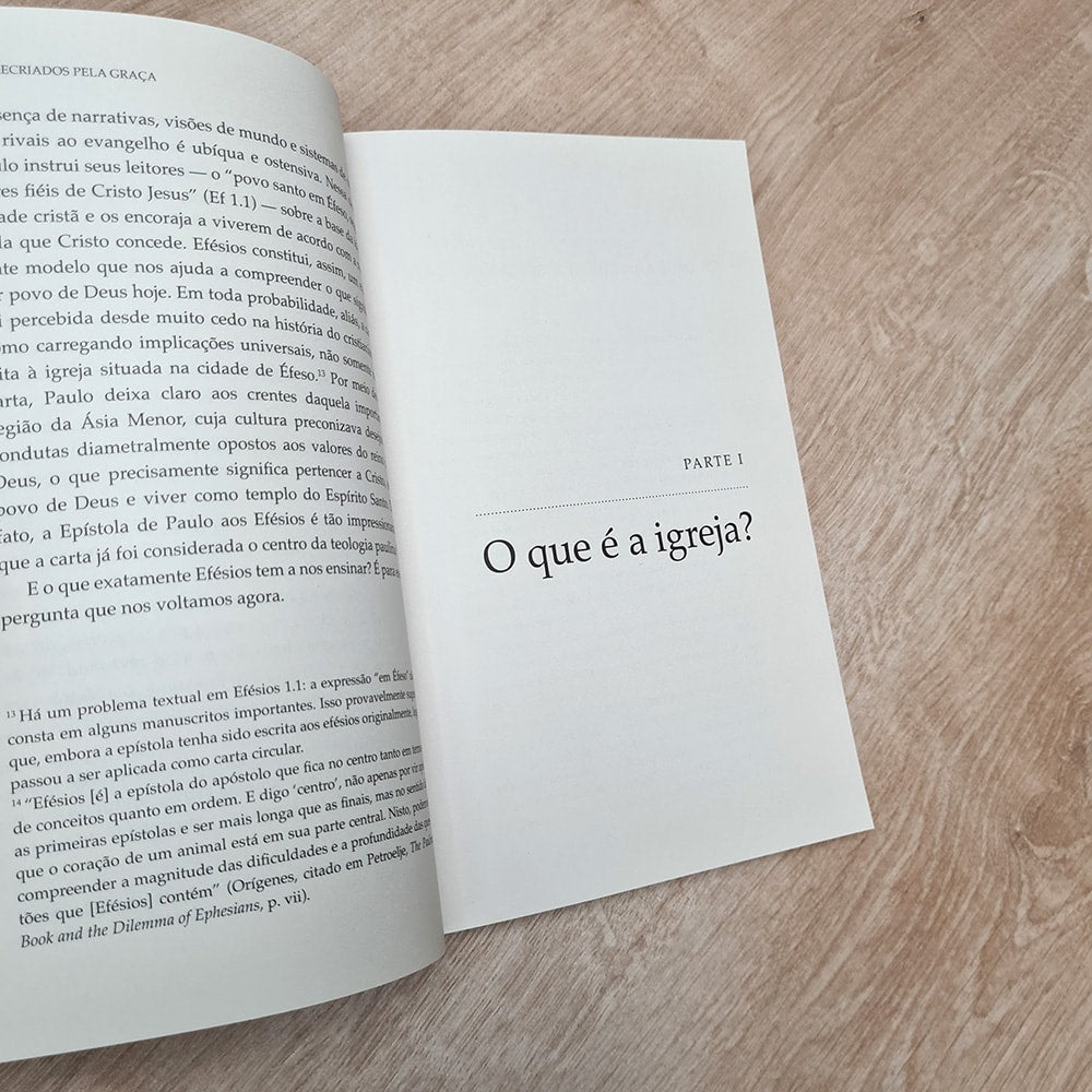 Recriados pela Graça | Bernardo Cho