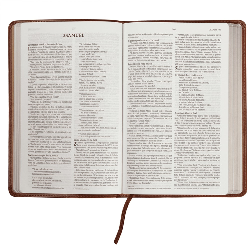 Bíblia Sagrada Slim | NVI | Letra Normal | Capa Luxo Marrom