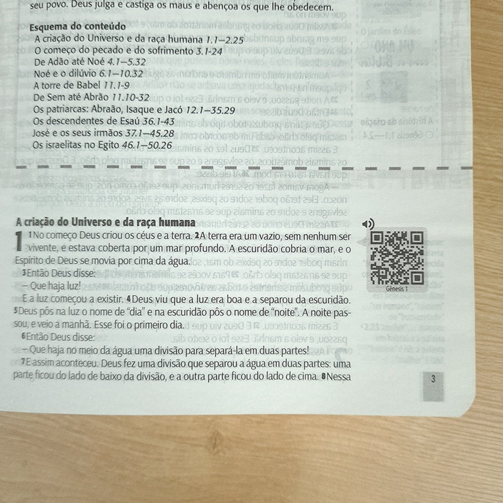 Bíblia Sagrada | NTLH | You Version | Letra Normal | Capa Dura Floral Rosé