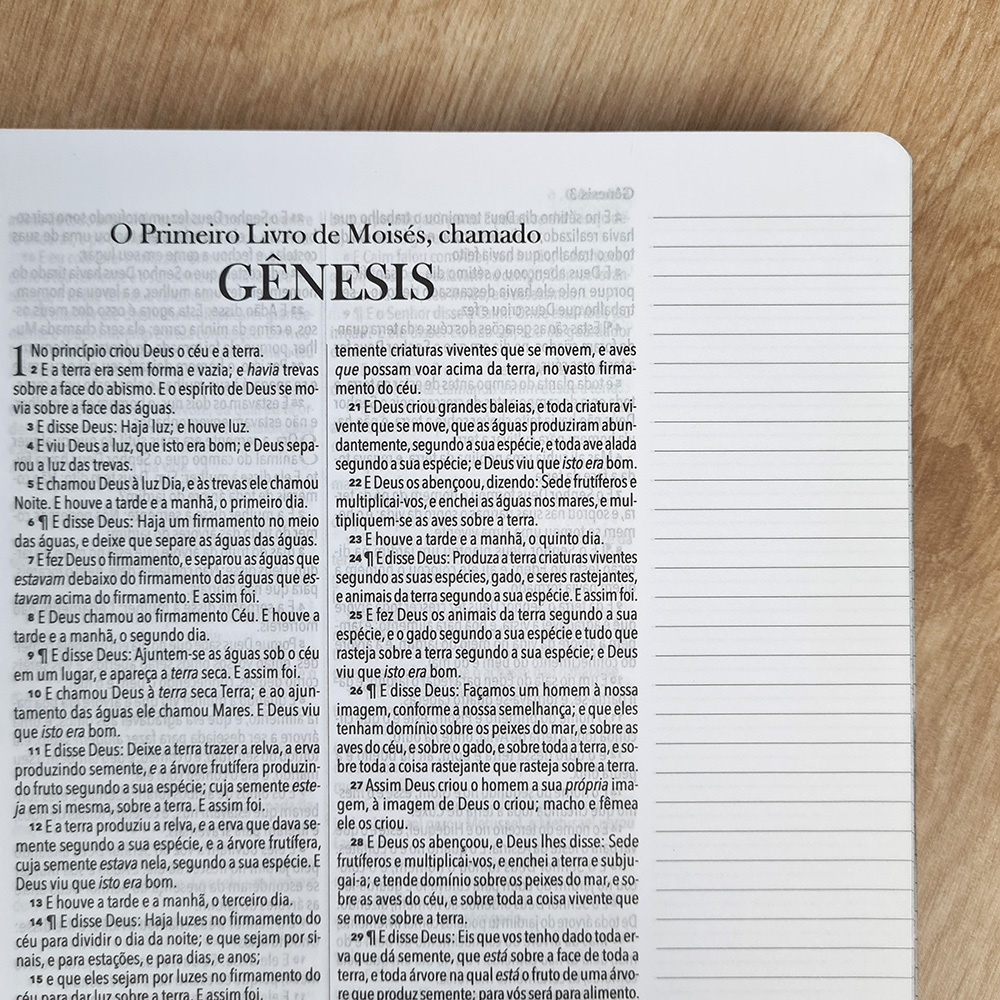 Bíblia King James 1611 Leão Glória e Honra | BKJ | Letra Normal | Capa Dura Espiral Com Espaço Para Anotações