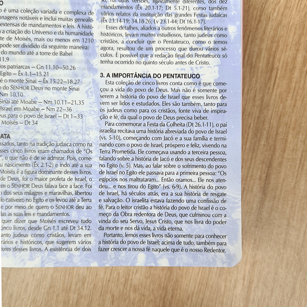 Bíblia de Estudo | Letra Normal | NTLH | Capa Luxo Rosa Nobre