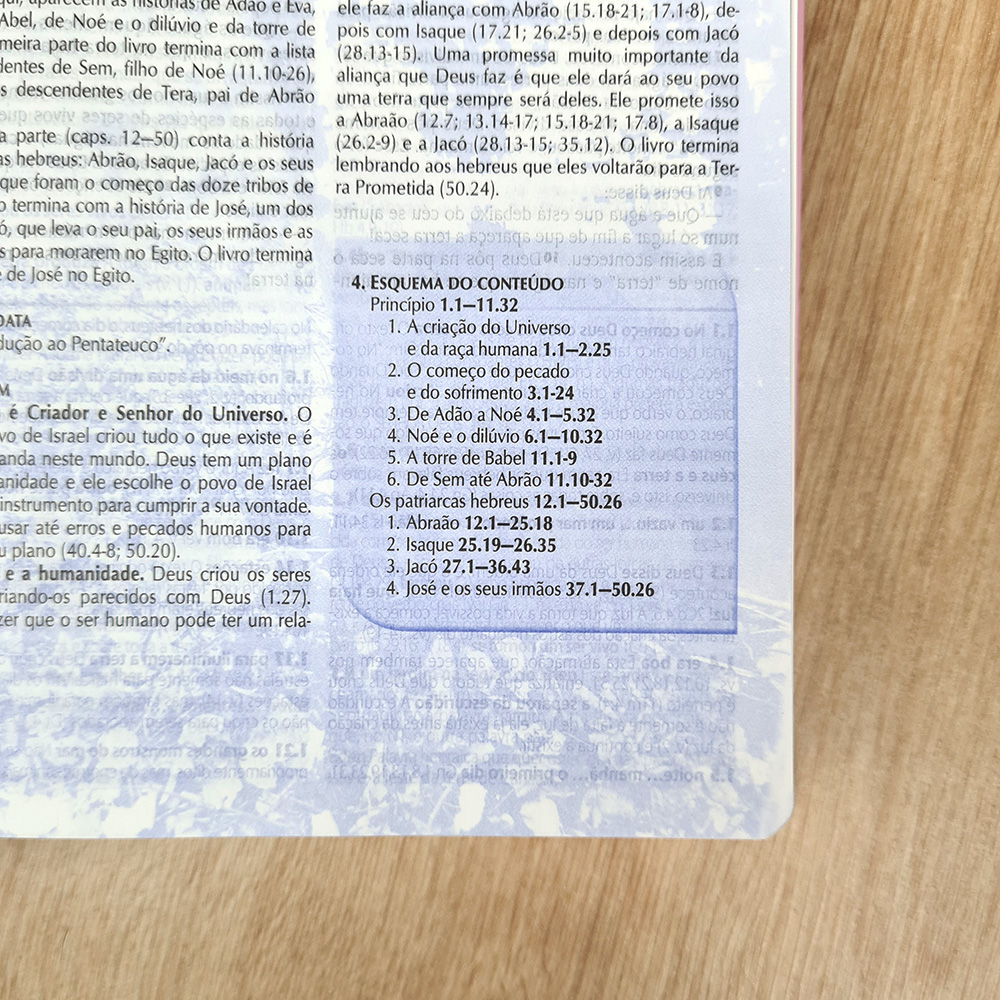Bíblia de Estudo | Letra Normal | NTLH | Capa Luxo Rosa Nobre