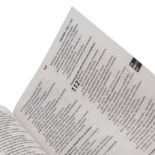 Bíblia Sagrada | ARA | Letra Grande | Capa Dura Jasmim