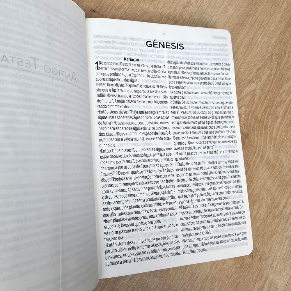 Bíblia Sagrada | NVT | Letra Gigante | Capa Luxo Verde