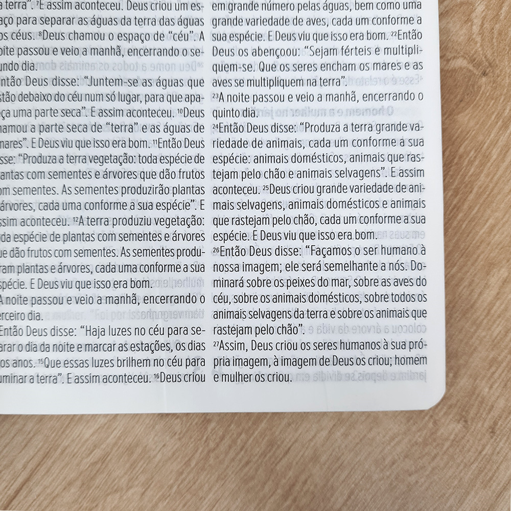Bíblia Sagrada | NVT | Letra Gigante | Capa Luxo Verde
