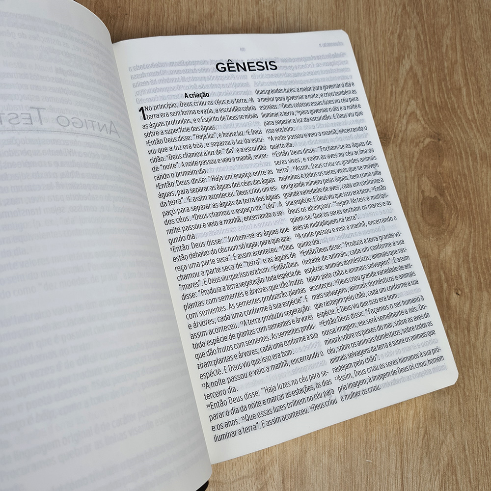 Bíblia Sagrada | NVT | Letra Gigante | Capa Luxo Preta