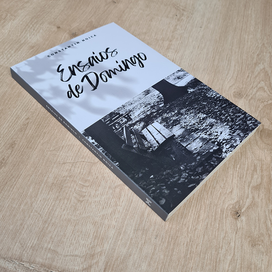 Ensaios de Domingo | Constain Noica