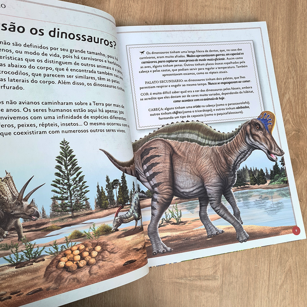 O Magnífico Livro dos Dinossauros