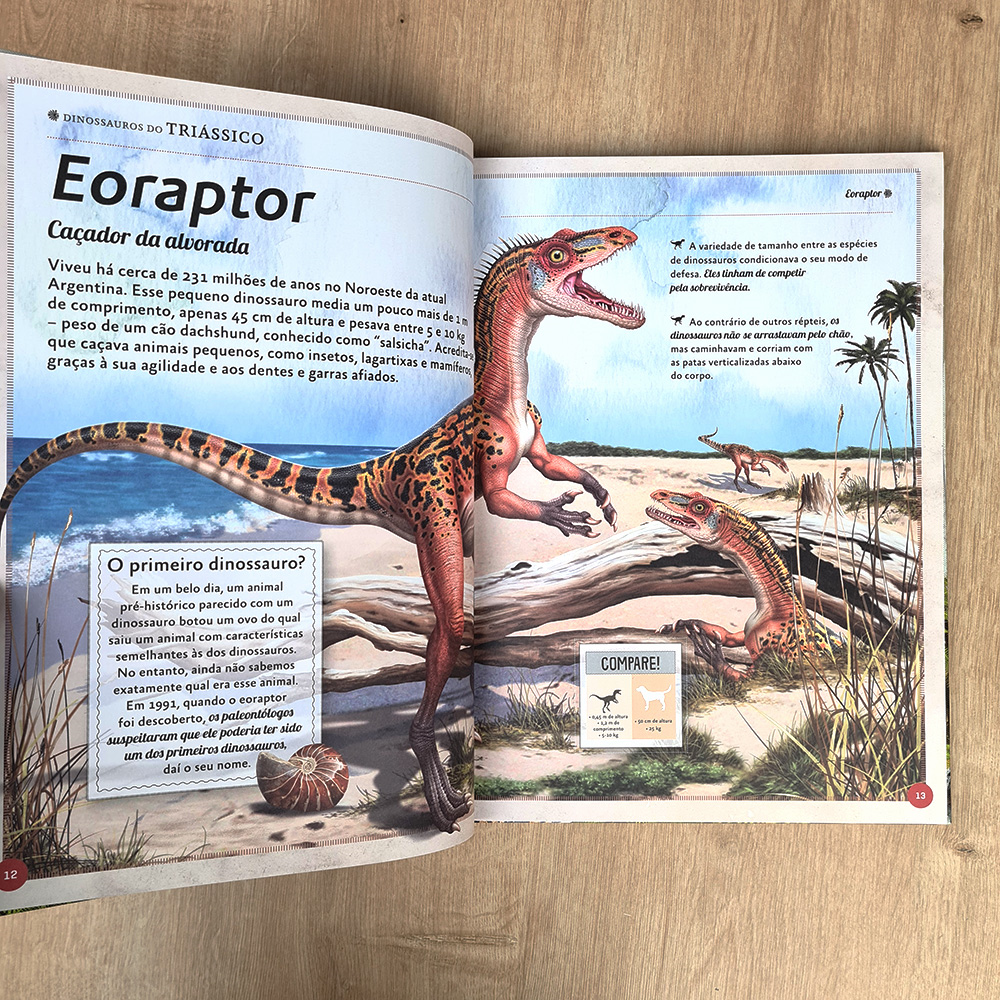 O Magnífico Livro dos Dinossauros