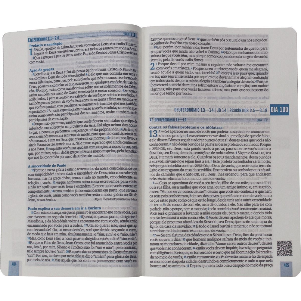 Bíblia 365 Dia e Noite | NAA | Letra Normal | Capa Dura Leão