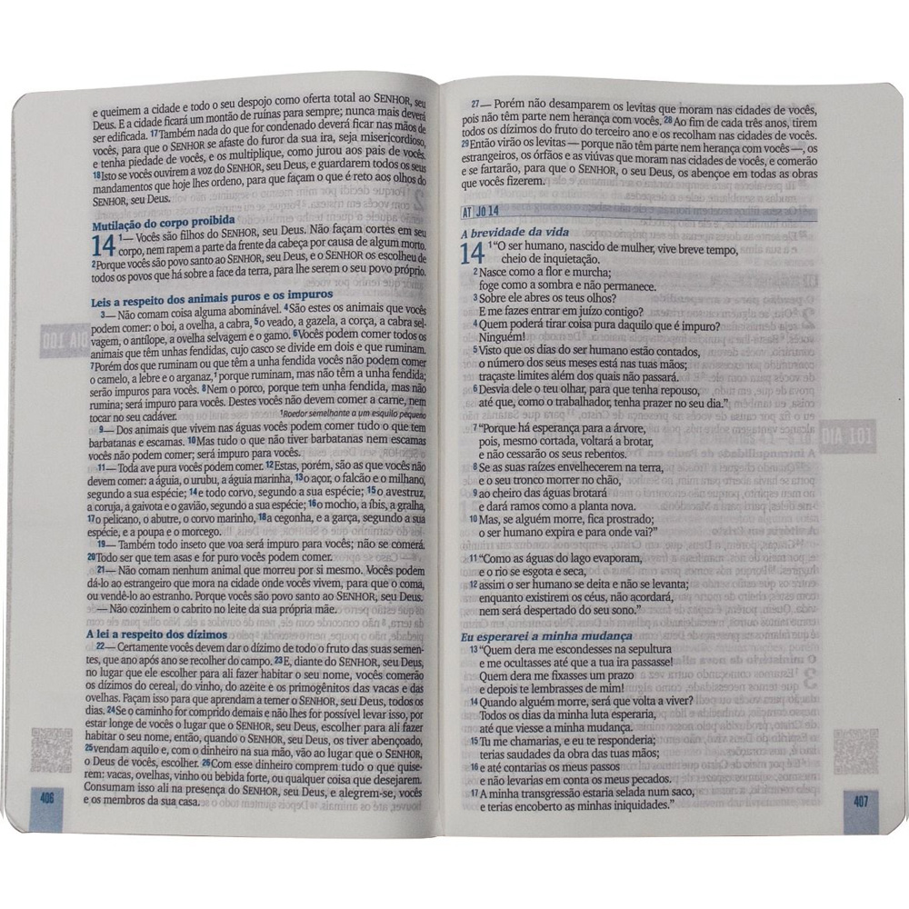 Bíblia 365 Dia e Noite | NAA | Letra Normal | Capa Dura Leão