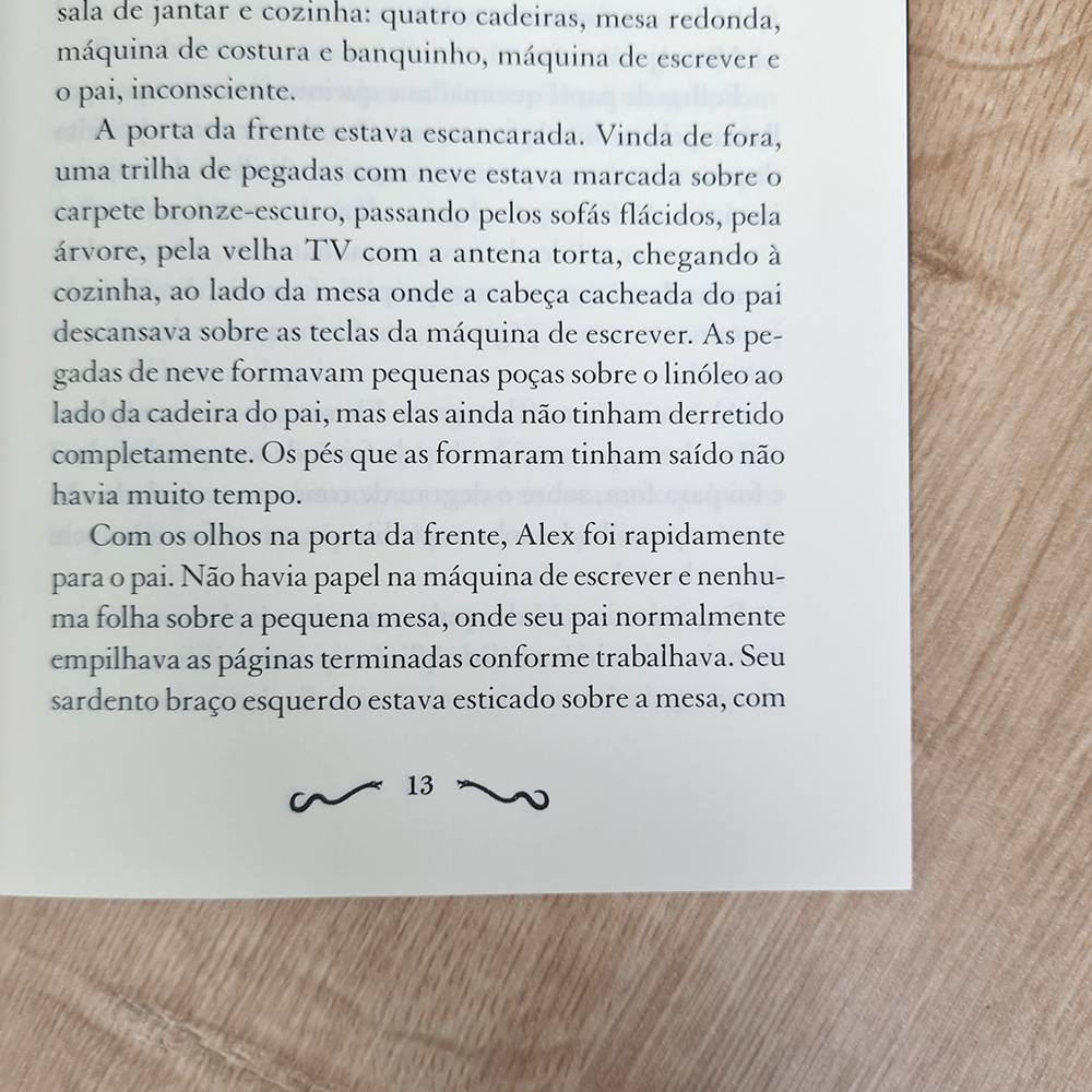 Foragidos do Tempo | O Ultimo dos Meninos Perdidos | N D Wilson