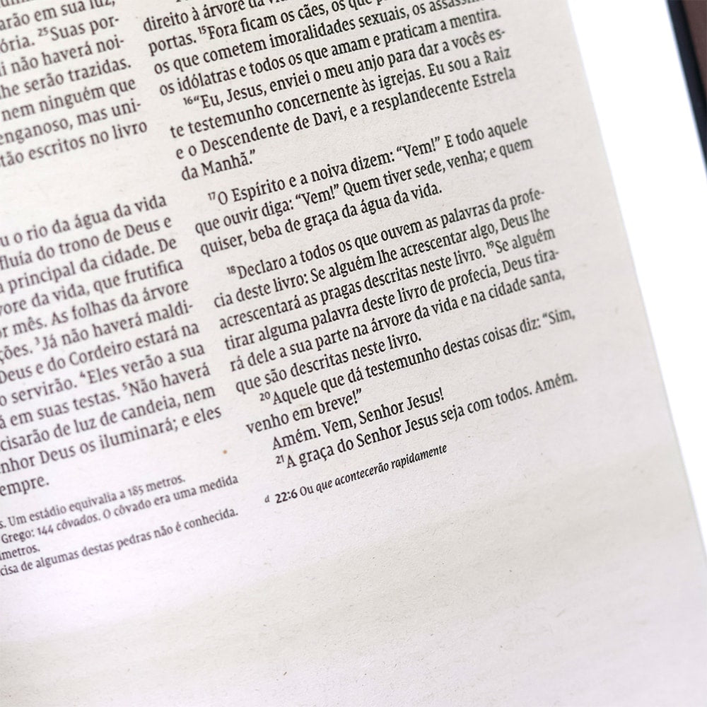 Bíblia Sagrada | NVI | Letra Normal | Ilustrada Capa Dura Preta