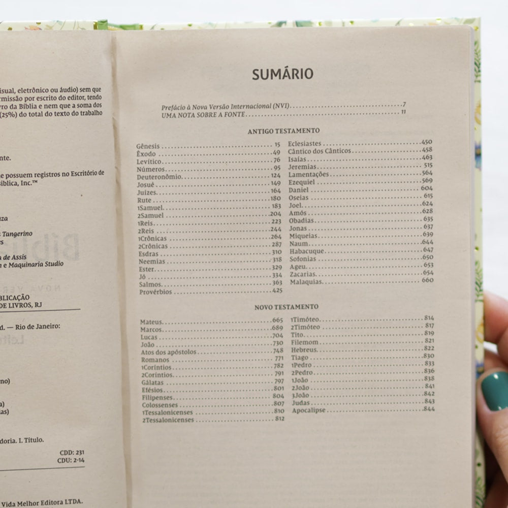 Bíblia Sagrada | NVI | Letra Normal | Ilustrada Capa Dura Recordações