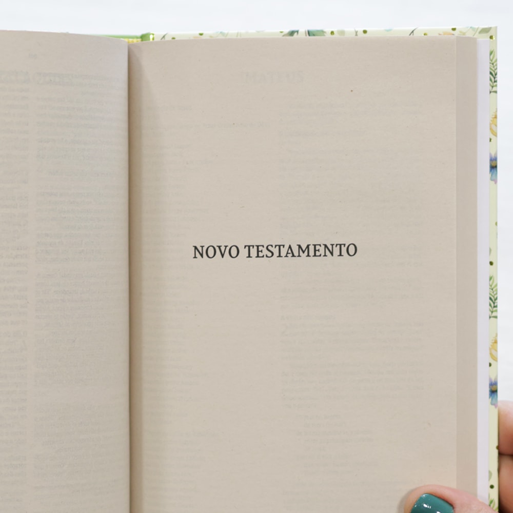 Bíblia Sagrada | NVI | Letra Normal | Ilustrada Capa Dura Recordações