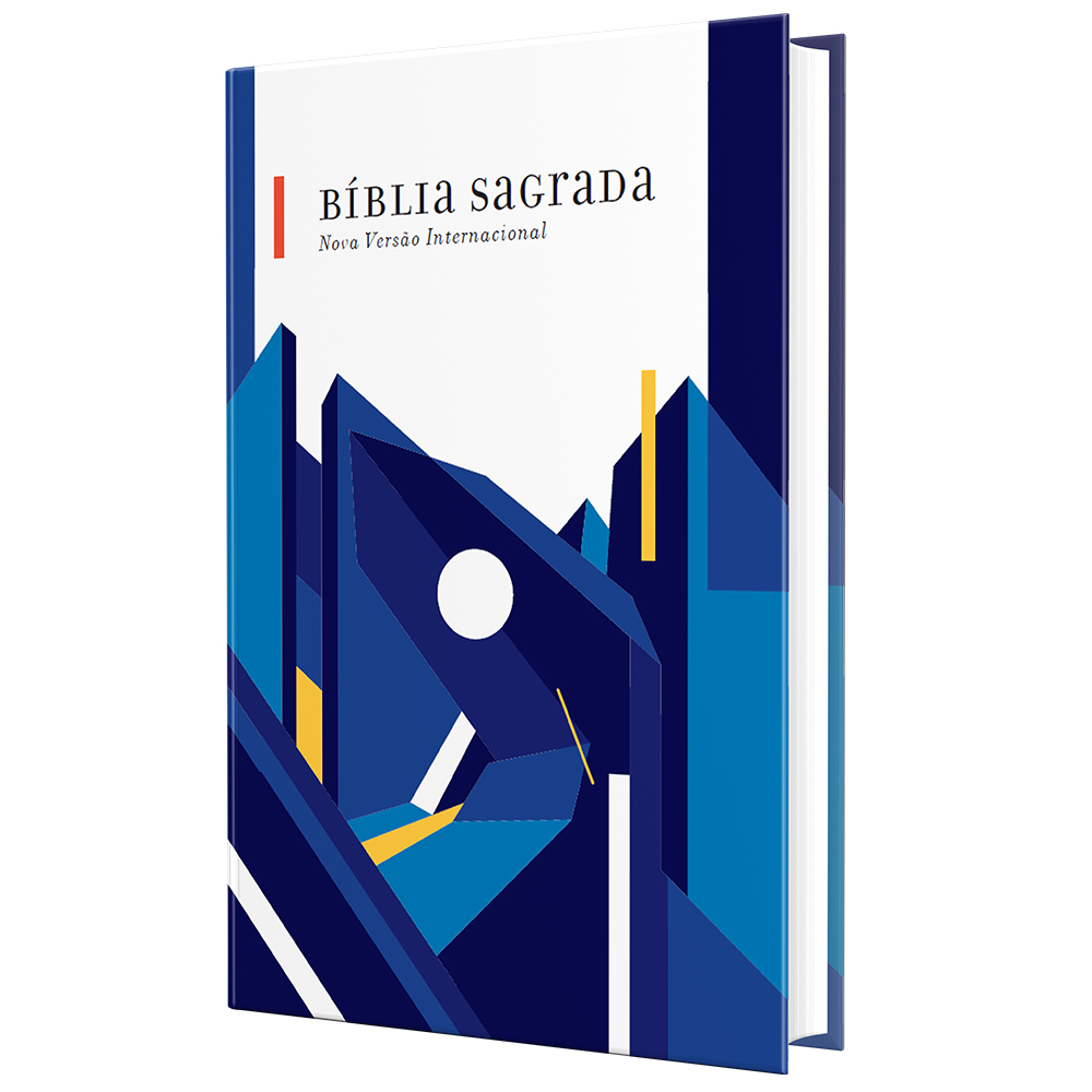 Bíblia Sagrada | NVI | Letra Normal | Ilustrada Capa Dura Urbana