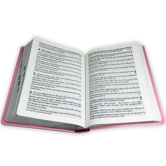 Bíblia Sagrada | NAA | Letra Grande | C/ Harpa Cristã | Capa Semi Luxo Rosa