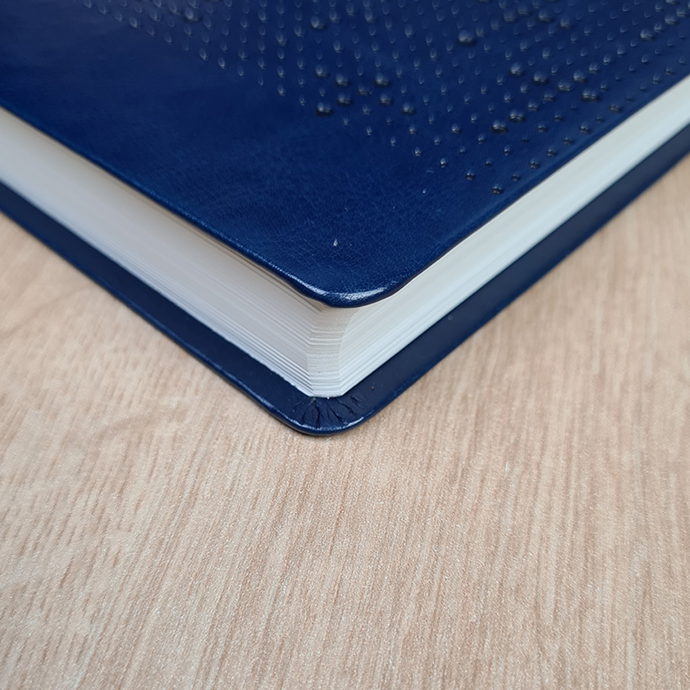 Bìblia Sagrada Slim | NVI | Letra Normal | Capa Luxo Azul