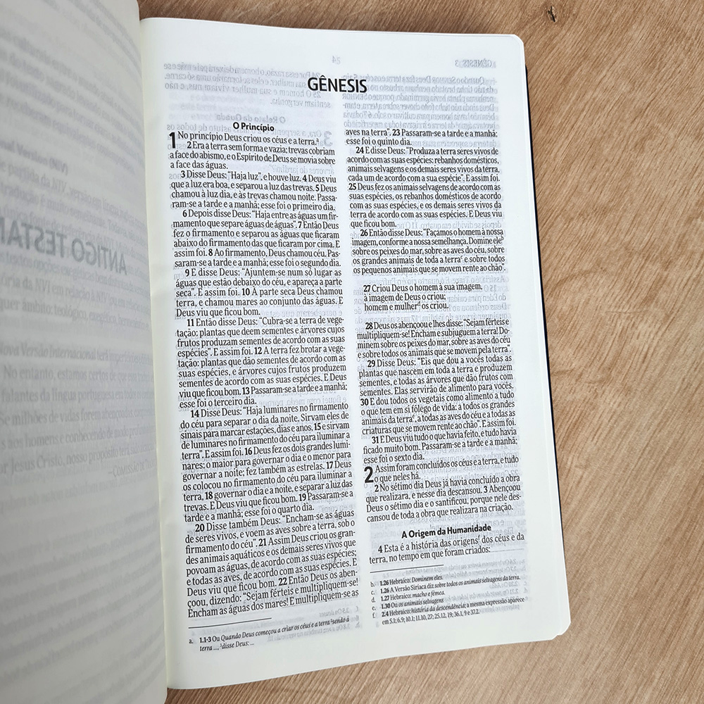 Bìblia Sagrada Slim | NVI | Letra Normal | Capa Luxo Azul
