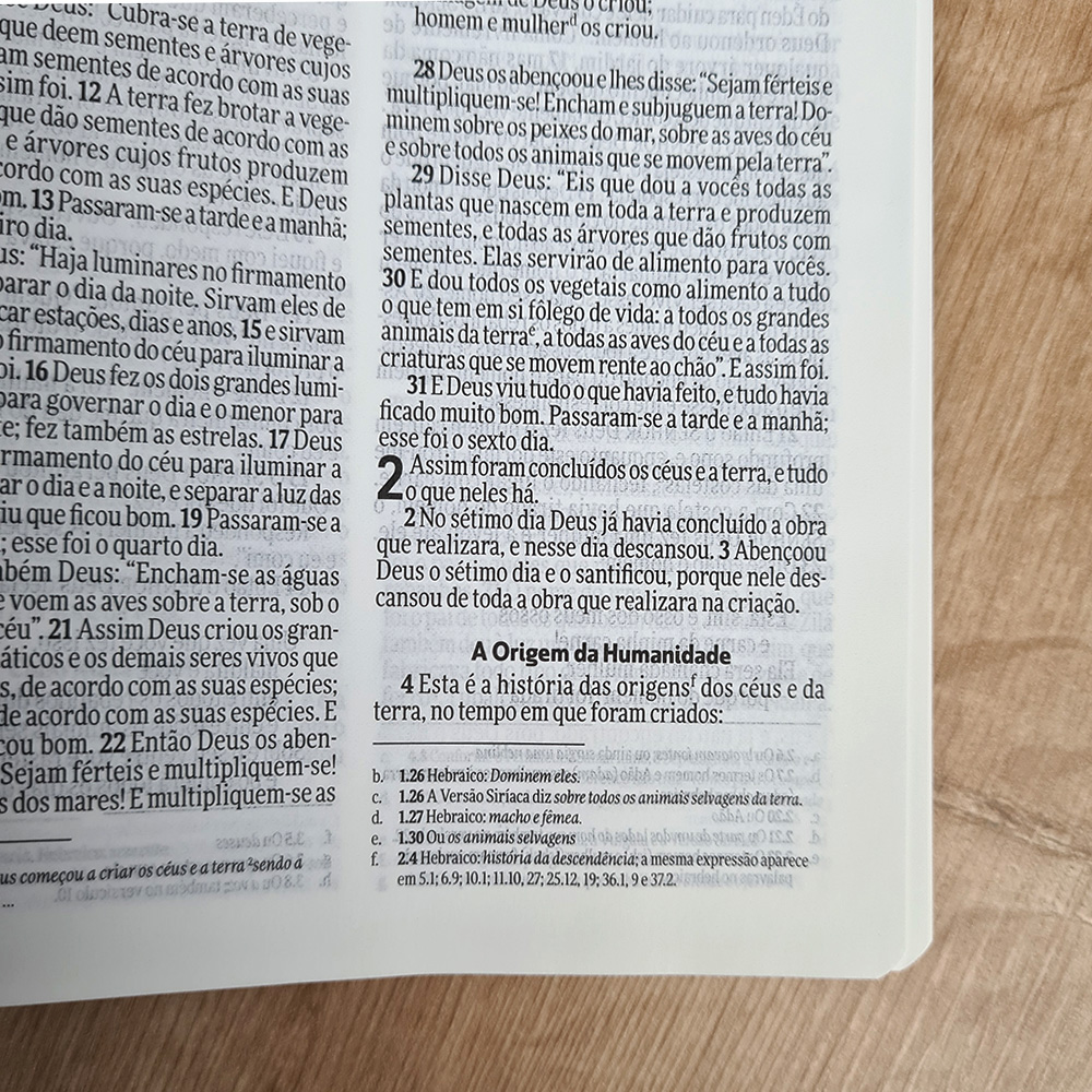 Bìblia Sagrada Slim | NVI | Letra Normal | Capa Luxo Azul