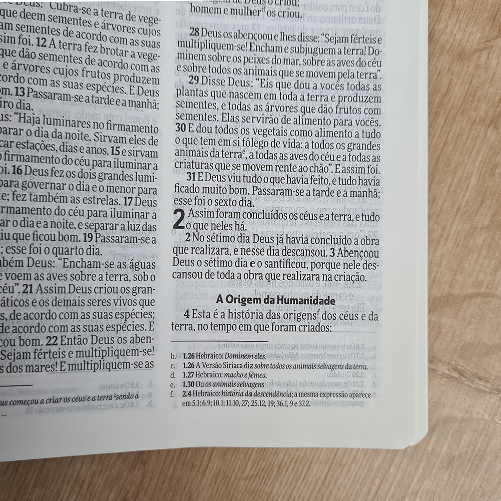 Bìblia Sagrada Slim | NVI | Letra Normal | Capa Luxo Preta