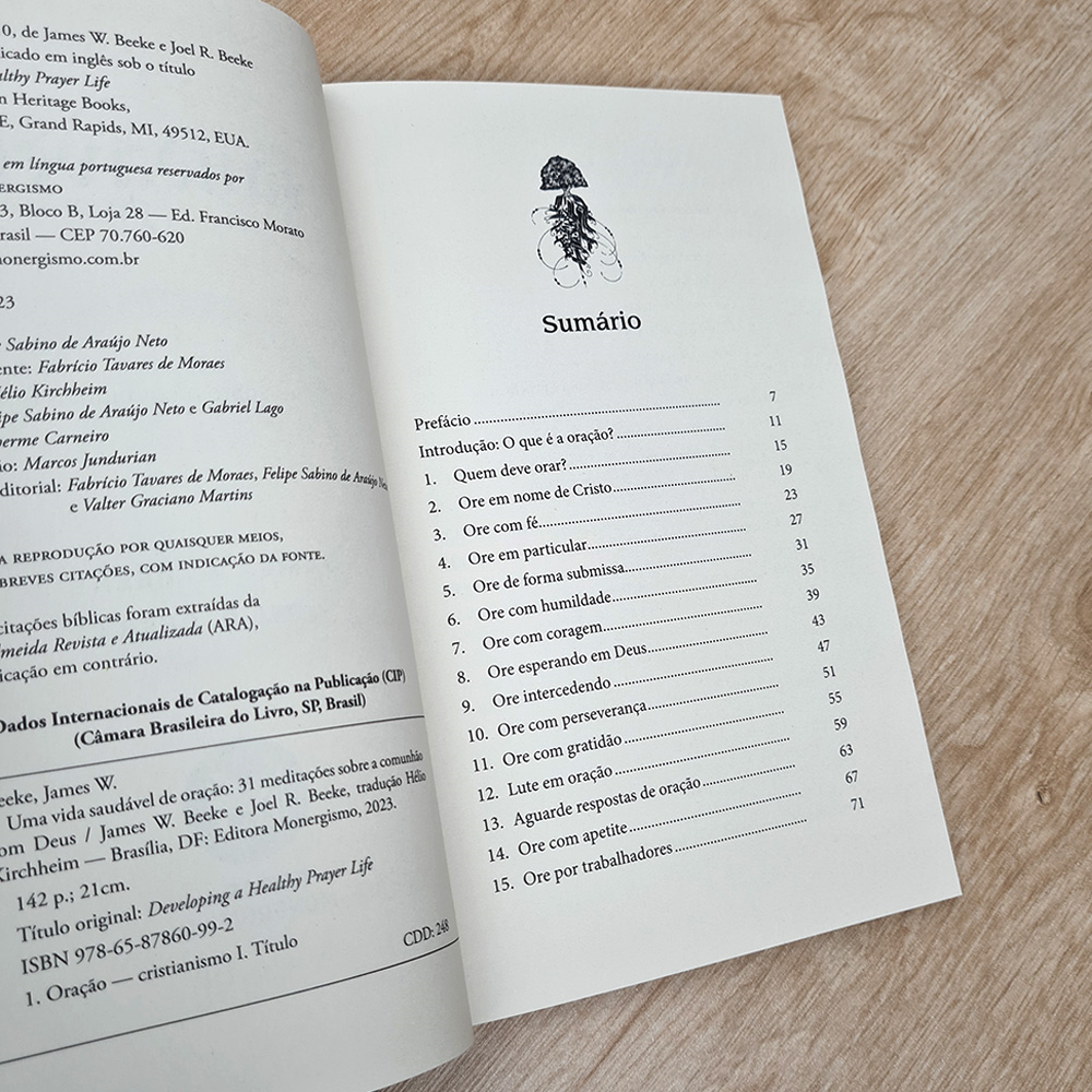 Bíblia Sagrada Slim | NVI | Letra Normal | Capa Luxo Vinho