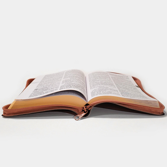 Bíblia Sagrada | O Poder da Oração | ARC | Letra Normal | Capa Semi Luxo Caramelo C/Ziper