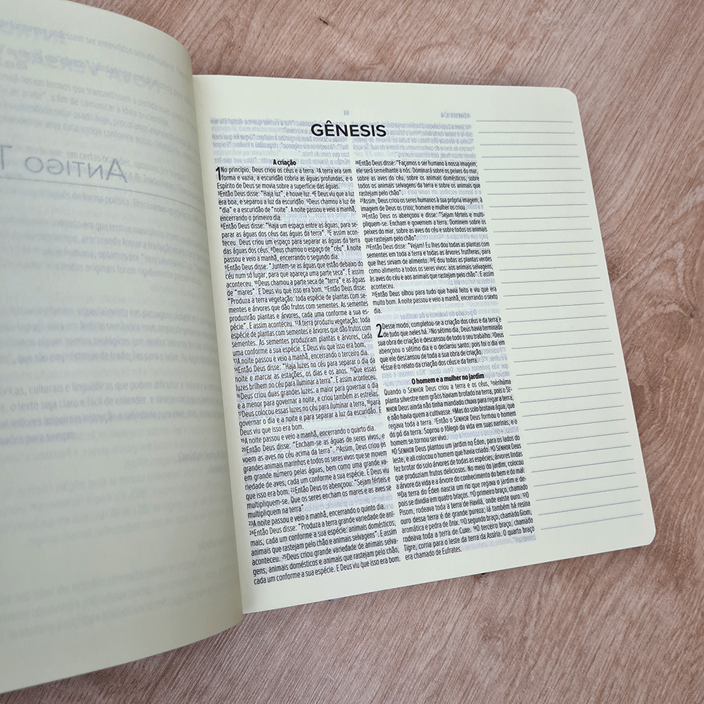 Bíblia Sagrada Leia e Anote | NVT | Letra Normal | Capa Dura Porto Seguro