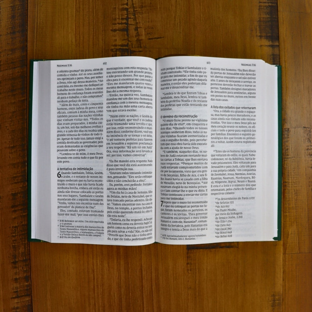 Bíblia Sagrada Pacificadores | NVI | Letra Grande | Capa Dura