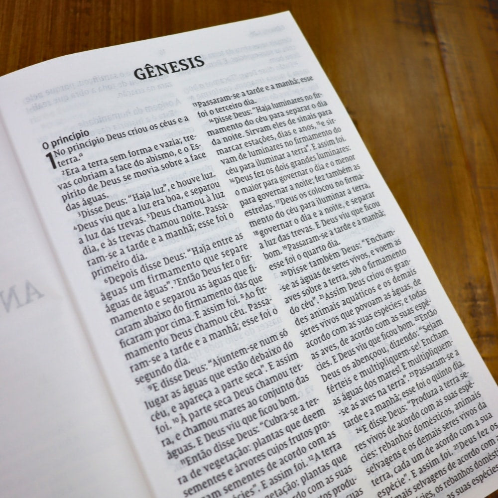 Bíblia Sagrada Pacificadores | NVI | Letra Grande | Capa Dura