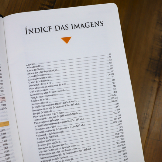 Bíblia de Estudo | NAA | Tamanho Portátil | Capa Luxo Azul | Letra Normal