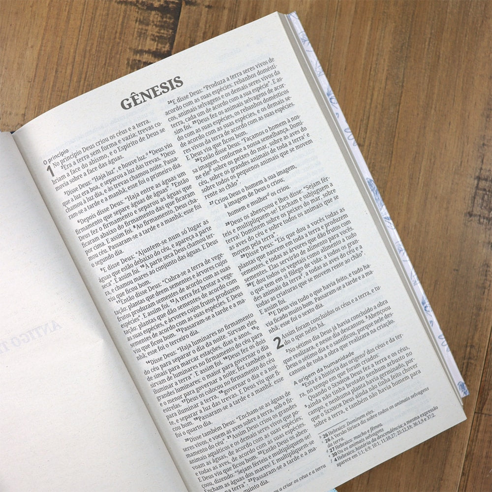 Bíblia Sagrada Capa Primavera | NVI | Letra Normal | Capa Dura