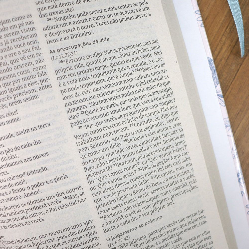 Bíblia Sagrada Capa Primavera | NVI | Letra Normal | Capa Dura
