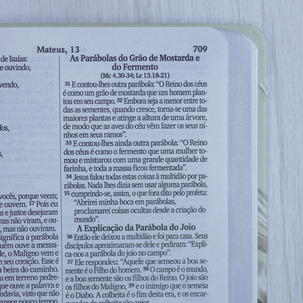 Bíblia Sagrada Lírios | NVI | Letra Maior | Capa Dura