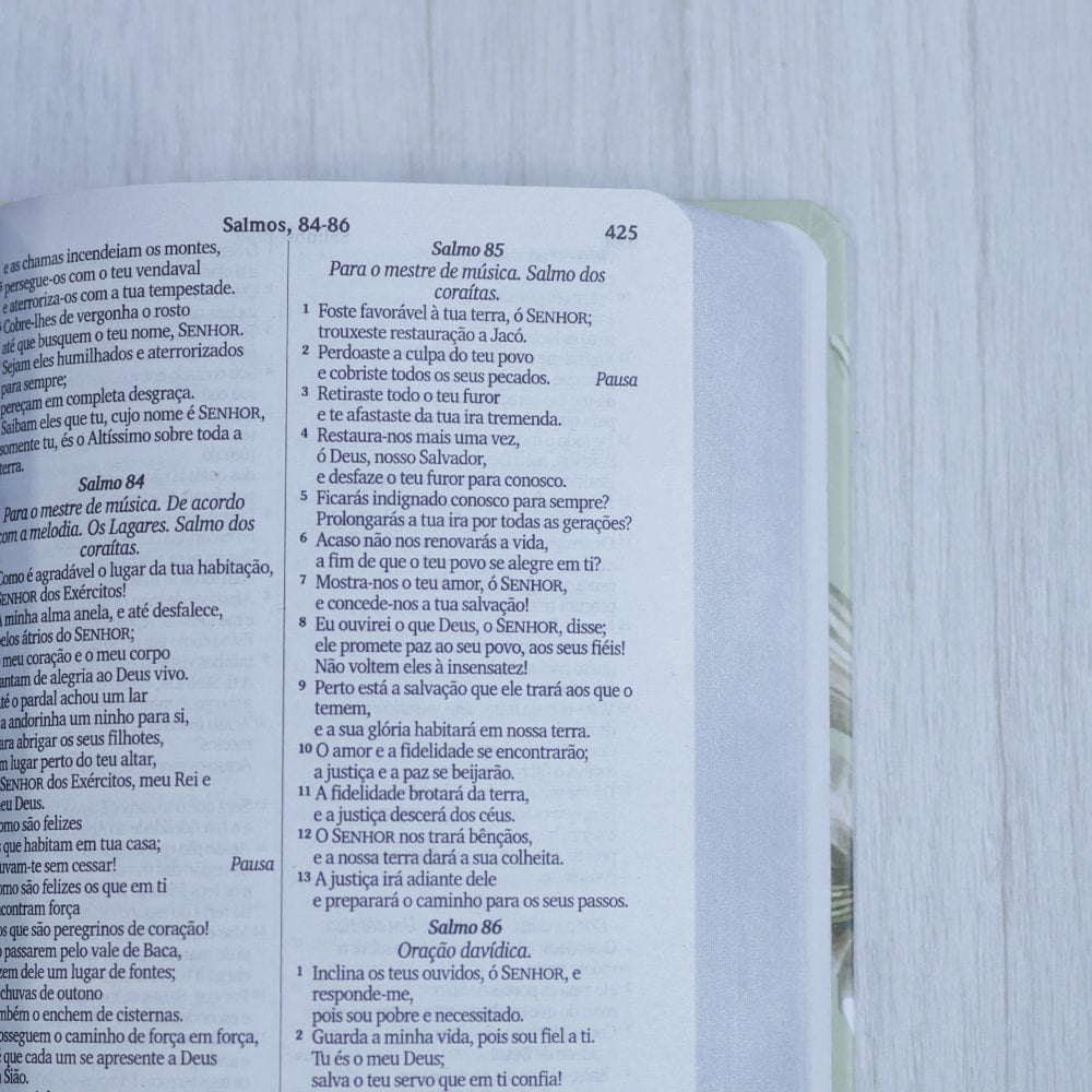 Bíblia Sagrada Lírios | NVI | Letra Maior | Capa Dura