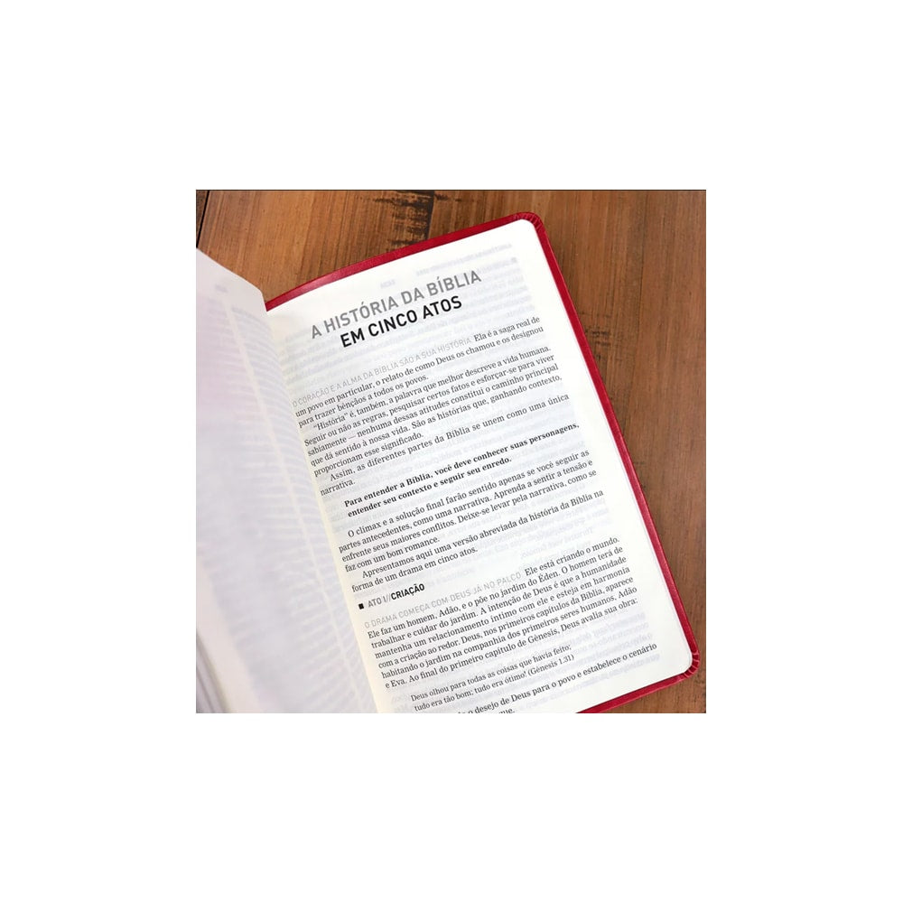 A Bíblia A Mensagem | Letra Gigante | Capa Luxo Vermelha
