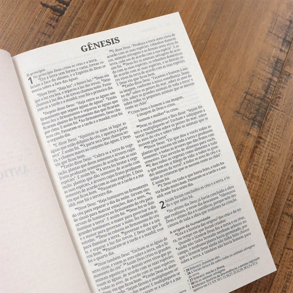 Bíblia Sagrada Capa Leão | NVI | Letra Normal | Capa Dura