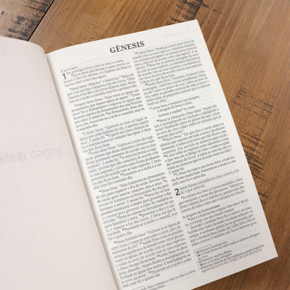 Bíblia Sagrada Capa Coroa | NVI | Letra Normal | Capa Dura