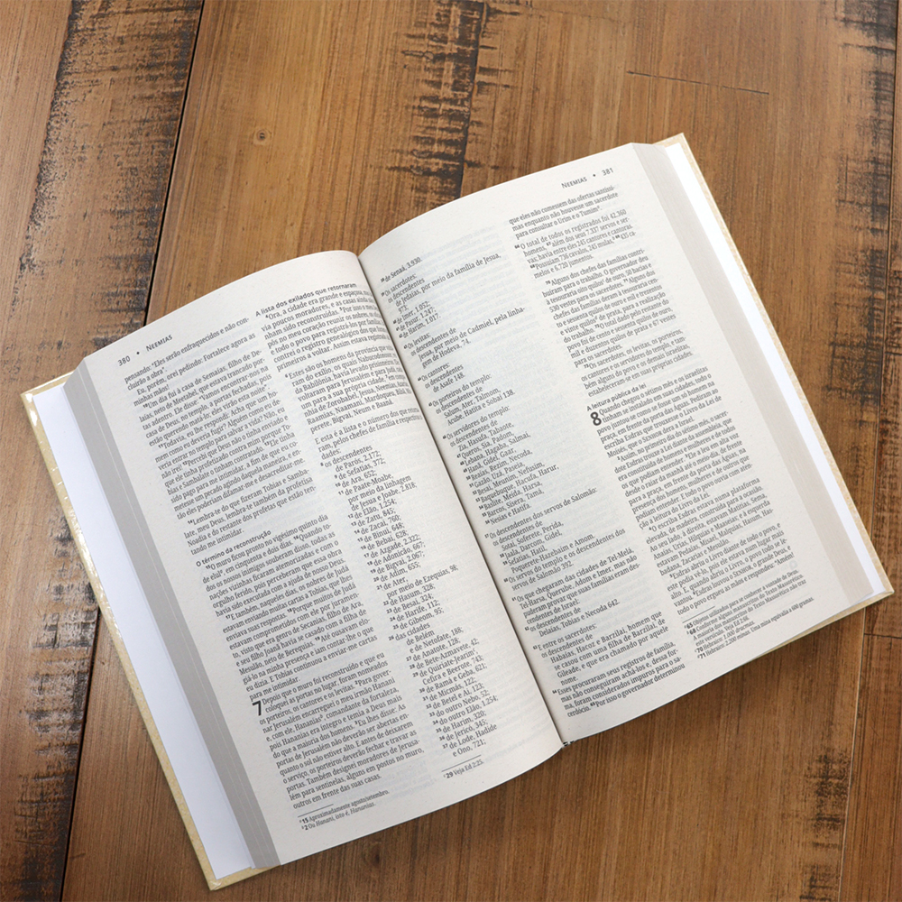 Bíblia Sagrada Capa Coroa | NVI | Letra Normal | Capa Dura