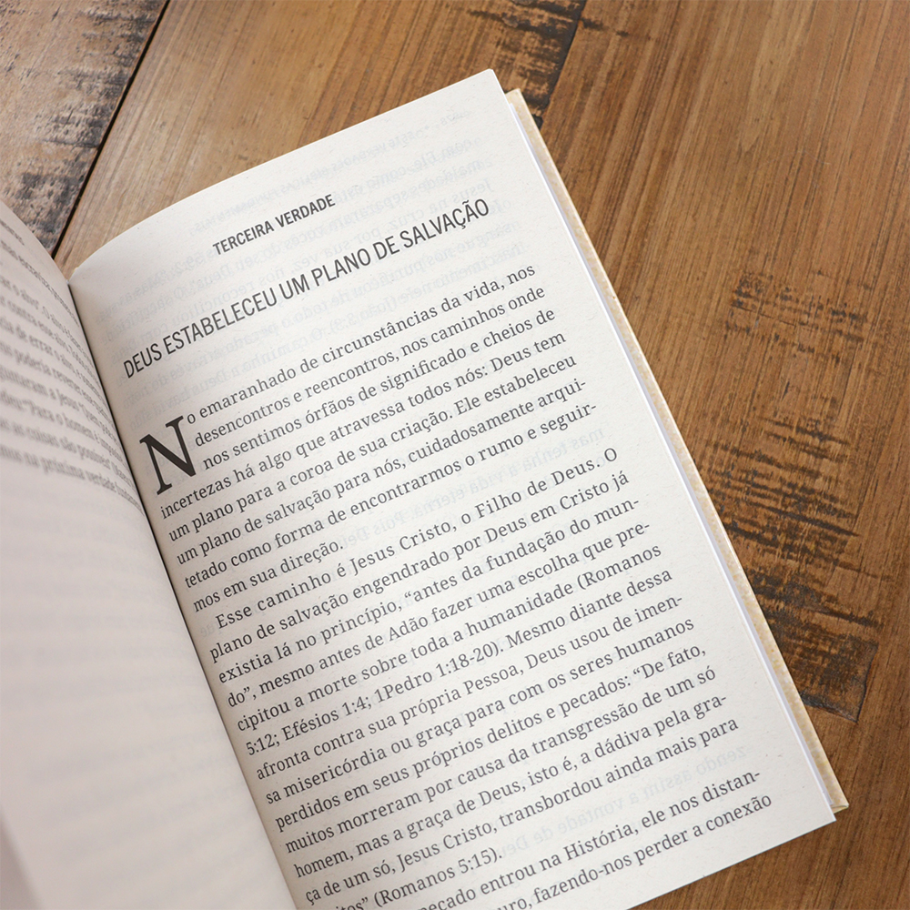 Bíblia Sagrada Capa Coroa | NVI | Letra Normal | Capa Dura
