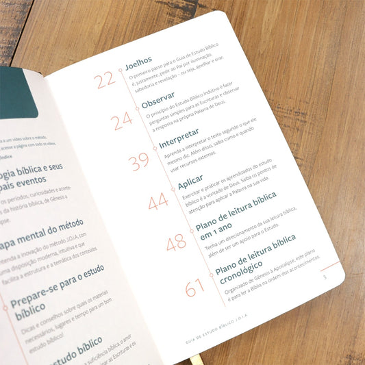 Bíblia Sagrada | Com Guia De Estudo Biblico JOIA | NVT | Letra Normal | Capa Ceia