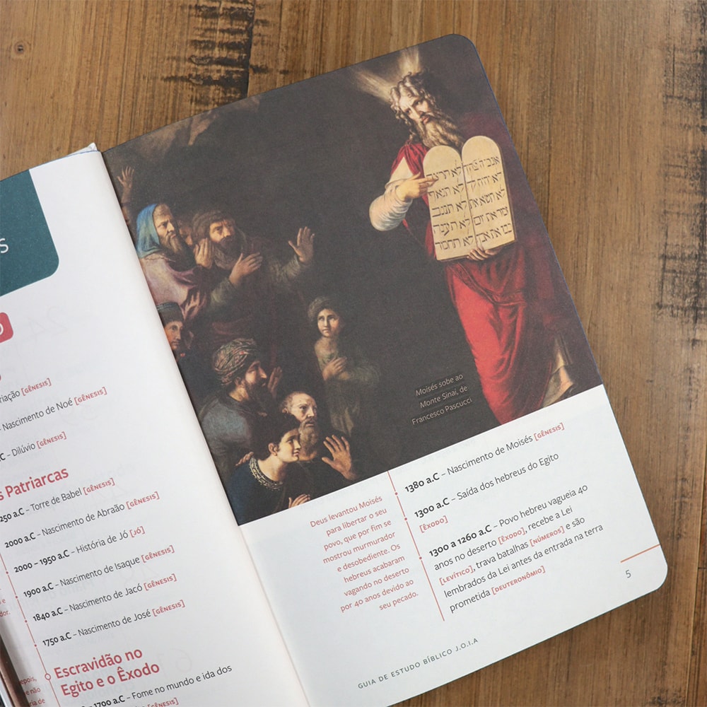 Bíblia Sagrada | Com Guia De Estudo Biblico JOIA | NVT | Letra Normal | Capa Creme