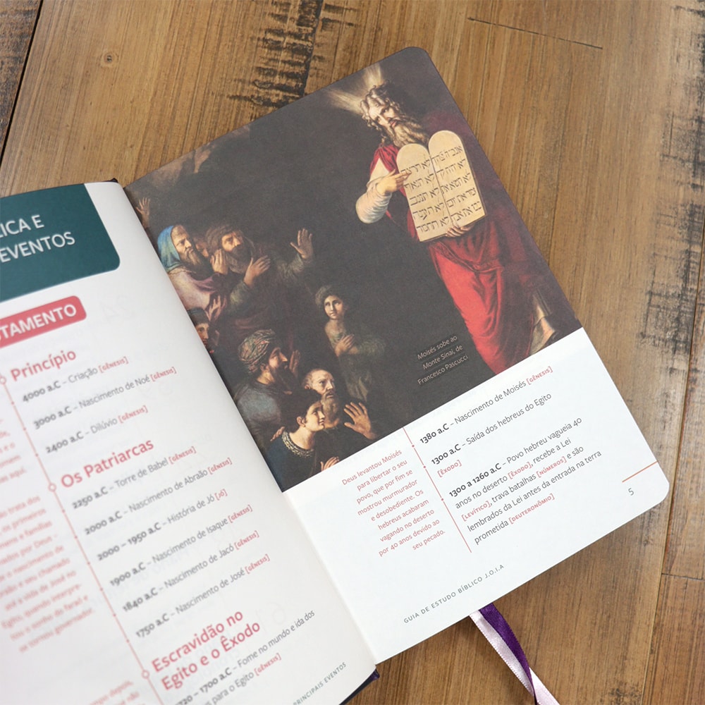 Bíblia Sagrada | Com Guia De Estudo Biblico JOIA | NVT | Letra Normal | Capa Floral