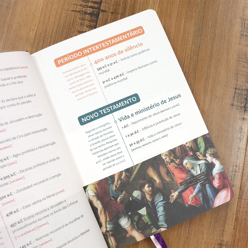 Bíblia Sagrada | Com Guia De Estudo Biblico JOIA | NVT | Letra Normal | Capa Floral
