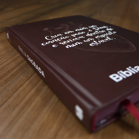 Bíblia Sagrada Coração Puro | NAA | Letra Normal | Capa Dura