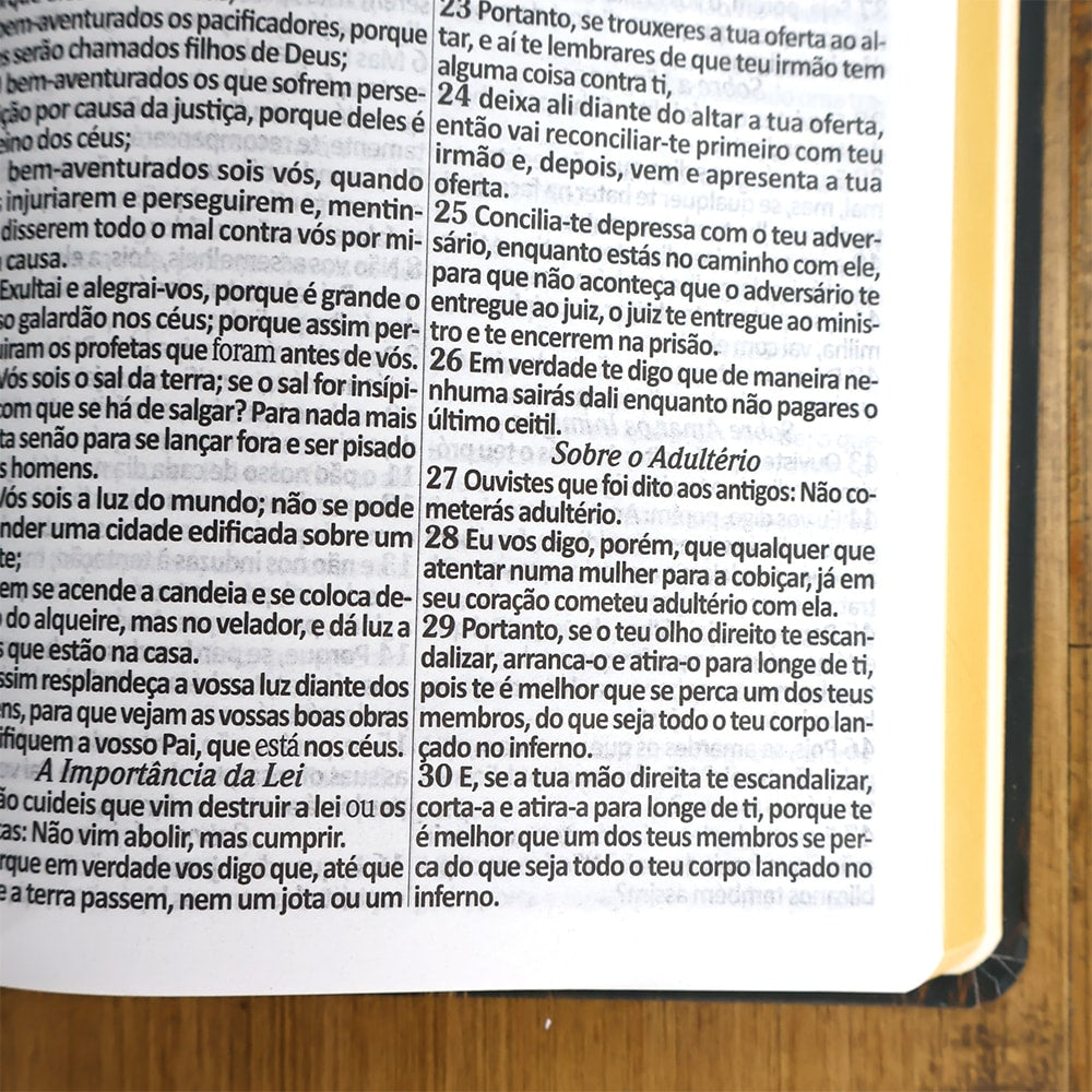 Bíblia Sagrada | ARC | Letra Normal| Harpa Avivada e Corinhos | Leão Rei