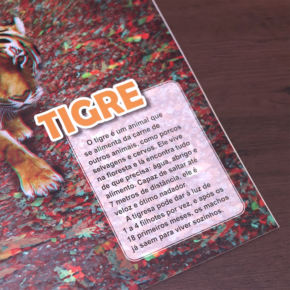 Animais Selvagens | 3-D | 3 Anos